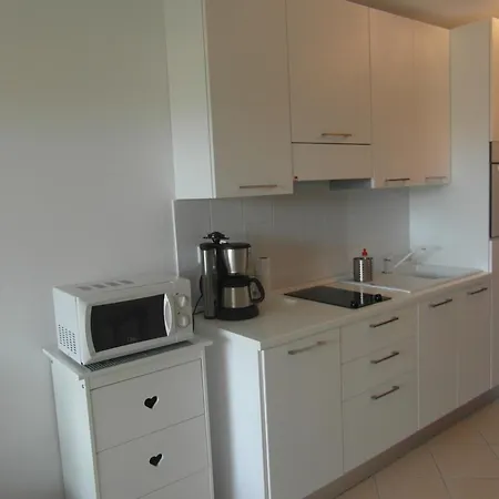 Les Eucalyptus * LʼÎle-Rousse