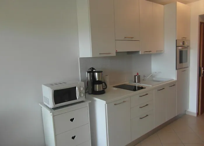 Les Eucalyptus * LʼÎle-Rousse